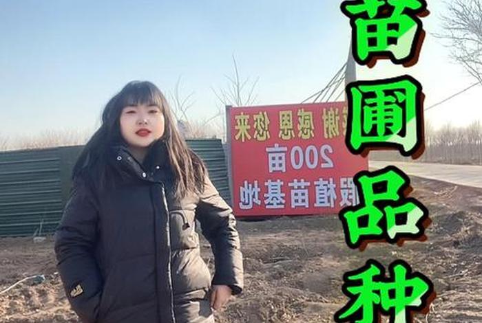 揭秘电商平台假苗木陷阱、假苗木基地 揭秘电商平台假苗木陷阱、假苗木基地