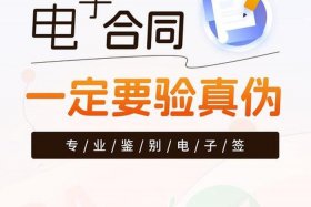 电商基础中电子合同与传统的区别、电商基础中电子合同与传统的区别有哪些