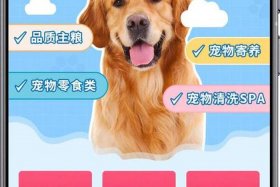 工业品电商平台 宠物 - 工业品电商平台 宠物可以用吗