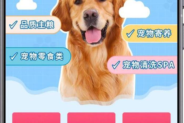 工业品电商平台 宠物 - 工业品电商平台 宠物可以用吗 工业品电商平台 宠物 - 工业品电商平台 宠物可以用吗