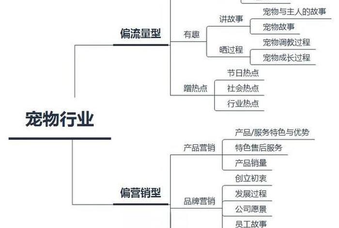 宠物电商带货课 宠物电商运营模式 宠物电商带货课 宠物电商运营模式