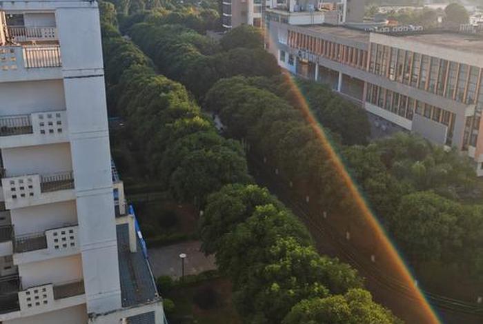 福建电商学校哪个学校最好,福建电商学校哪个学校最好的 福建电商学校哪个学校最好,福建电商学校哪个学校最好的