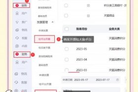 电商开发平台支出账务怎么处理，电商平台怎么做账和开票