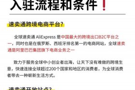 跨境电商平台入驻条件、跨境电商平台入驻条件是什么