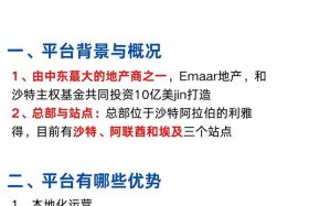 noon中东电商平台介绍（中东noon跨境电商平台）