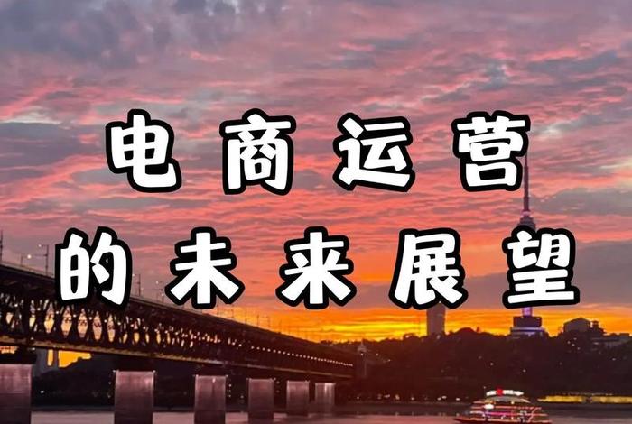 垂直电商的描述；垂直电商的描述正确的是