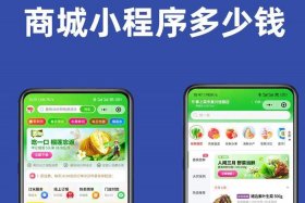 小程序电商项目是什么；小程序电商项目是什么类型