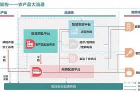 农产品电商体系是什么意思（农产品电商平台新模式）