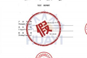 入驻电商上架的检测报告（入驻电商上架的检测报告是真的吗）
