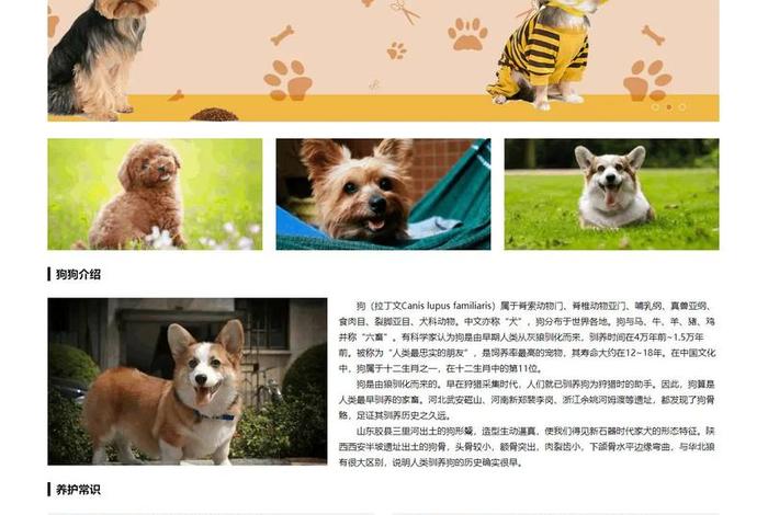 宠物电商社区app和小程序模板源码、宠物商城app源码 宠物电商社区app和小程序模板源码、宠物商城app源码