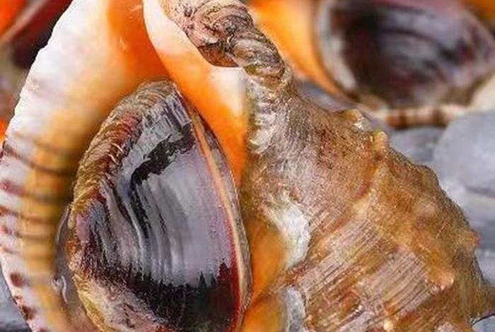 海螺网上商城 - 海螺网上商城app