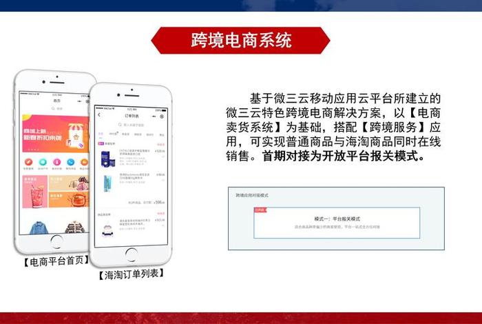 跨境电商成本核控 - 跨境电商成本核控方案