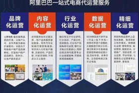 代运营电商公司能赚钱吗（代运营电商公司能赚钱吗知乎）