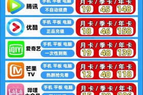 会员制电商有哪些；会员制电商平台有哪些