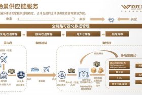 电商联盟供应链货源（电商联盟供应链货源在哪）
