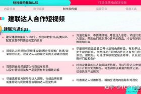 电商平台运营公司视频、电商平台运营公司视频介绍