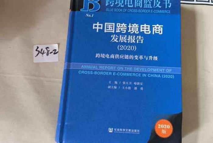 中国跨境电商发展报告2025;跨境电商蓝皮书-中国跨境电商发展报告(2020) 中国跨境电商发展报告2025;跨境电商蓝皮书-中国跨境电商发展报告(2020)