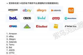 欧洲排名第一的跨境电商市场是，欧洲排名第一的跨境电商市场是( )