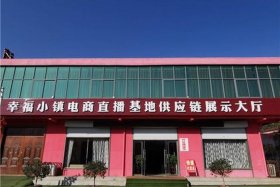 临沂直播电商基地有哪些（临沂直播电商基地有哪些品牌）