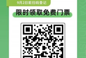 电商博览会门票领取，中国国际电子商务博览会门票