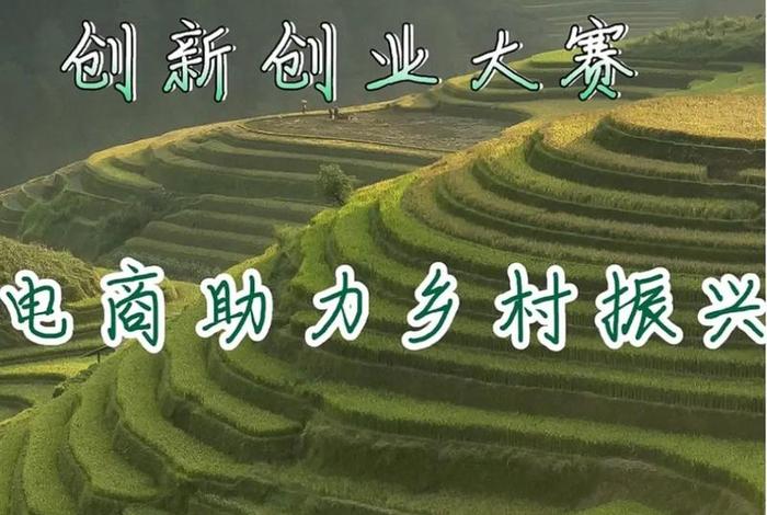 电商助农增收，电商助农增收措施