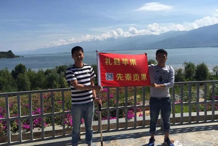 红梦电商，深圳市宏梦电子商务有限公司