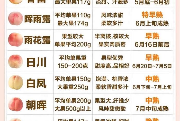 桃子电商平台电话 - 桃子电商平台电话是多少 桃子电商平台电话 - 桃子电商平台电话是多少