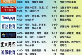 学电商运营哪个机构学 - 学电商运营哪个机构学比较好