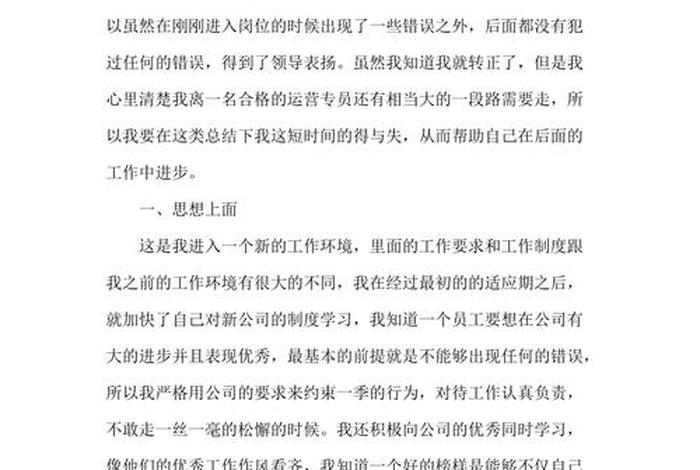 电商网店运营个人总结范文 电商网店运营个人总结范文大全