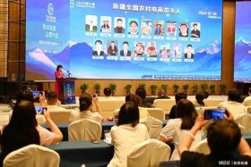 新疆电商张淋 - 新疆电商扶持政策