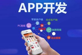 海口电商系统软件开发，海口软件开发公司