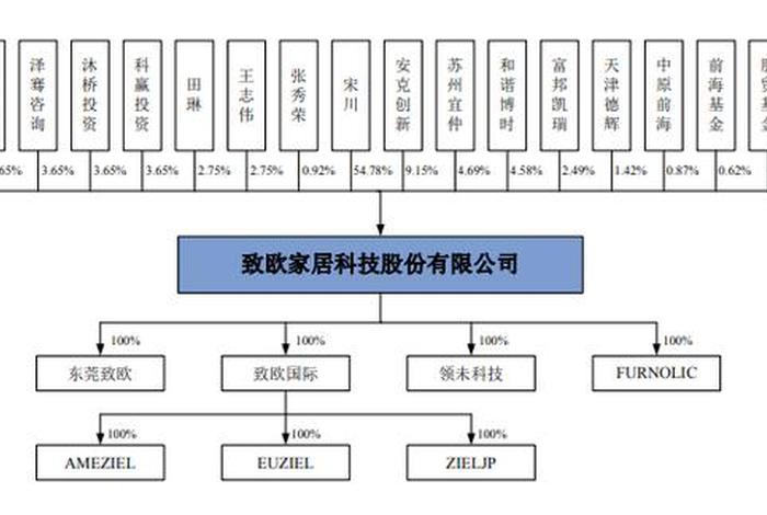 跨境电商上市公司的股权架构，跨境电商上市公司的股权架构是什么