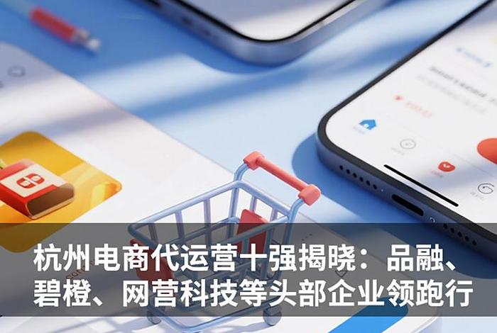 杭州电商运营平台有哪些(杭州电商运营平台有哪些公司) 杭州电商运营平台有哪些(杭州电商运营平台有哪些公司)