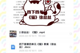 猫课电商课程 - 猫课电商课程视频