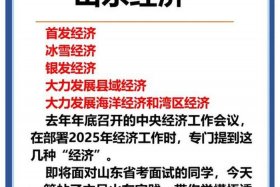 电商山东省哪个市干的多，电商山东省哪个市干的多一点
