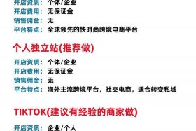 跨境电商新手如何选择平台？ 跨境电商新手如何选择平台呢