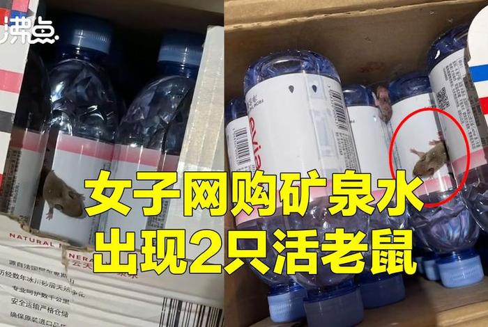 女子网购矿泉水出现活老鼠 商家的回应亮了(女子网购矿泉水出现2只活老鼠) 女子网购矿泉水出现活老鼠 商家的回应亮了(女子网购矿泉水出现2只活老鼠)