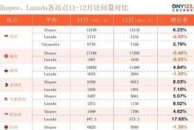dny123跨境电商导航 dny123东南亚跨境电商