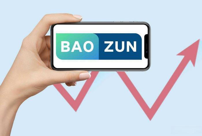 宝尊电商 - 宝尊电商是做什么的 宝尊电商 - 宝尊电商是做什么的