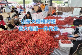 农产品电商和农村电商有什么区别 - 农产品电商和农村电商有什么区别呢