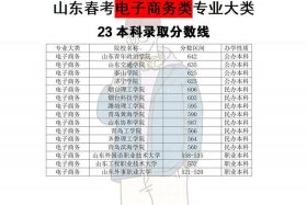 电商山东本科 山东本科电子商务学校排名