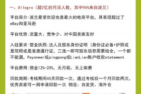 国内小众电商平台、国内小众电商平台排行榜