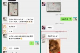 重庆电商平台注册 - 重庆电商平台注册流程