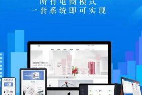 中小电商seo；中小电商企业