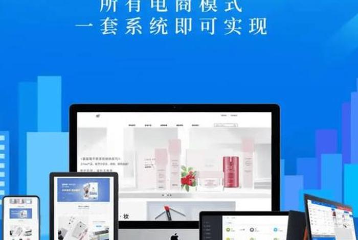 中小电商seo；中小电商企业