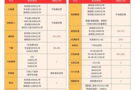 不同跨境电商平台付费推广说法（不同跨境电商平台付费推广说法不一样）