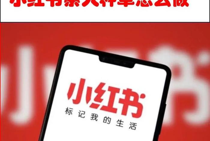 小红书种草学官网入口 - 小红书种草学 小红书种草学官网入口 - 小红书种草学