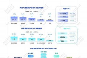 国美电商平台的发展现状 - 国美电商平台的发展现状如何