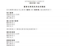 民生电商集团（民生电商集团是国企吗）