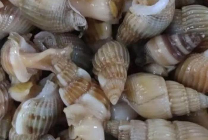 海螺丝电商、海螺丝电商园